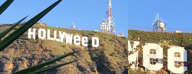 Hollyweed by JesusHands | Art-Pie
